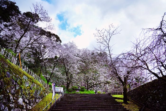 🏯 노베오카 성터(노베오카조아토) 이미지 4